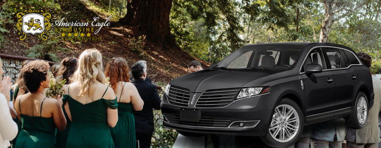 Read more about the article Unique Wedding Transportation in Denver with American Eagle Limousine