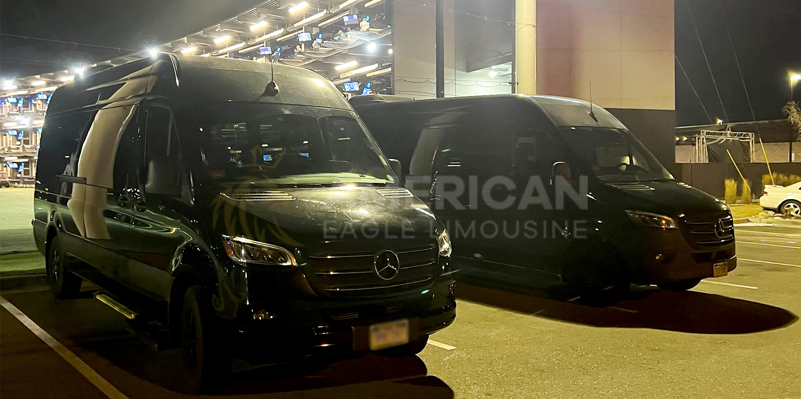 Mercedes Sprinter Van Service in Denver