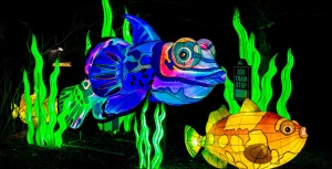 Families enjoying holiday light displays at Bright Nights at Four Mile, Denver